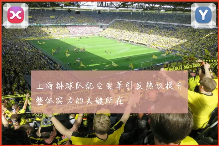上海排球队配合变革引发热议提升整体实力的关键所在