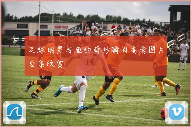 足球明星与鱼的奇妙瞬间高清图片合集欣赏