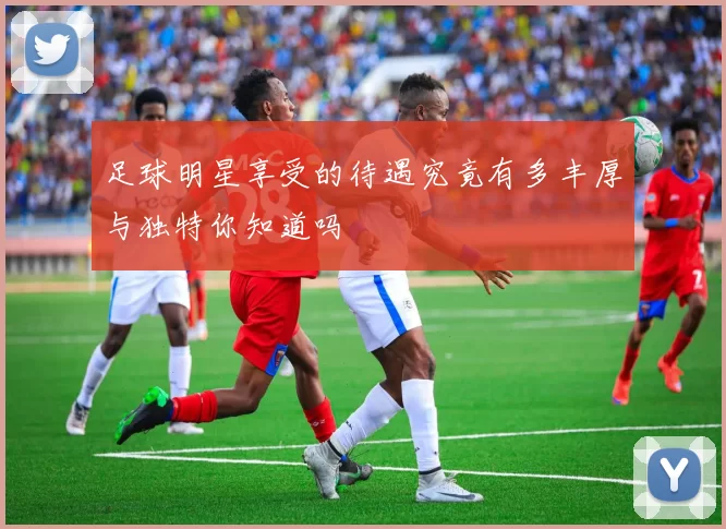 足球明星享受的待遇究竟有多丰厚与独特你知道吗