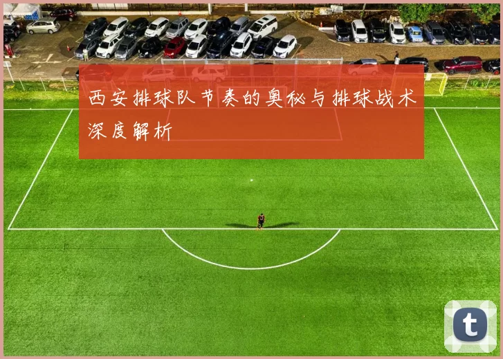 西安排球队节奏的奥秘与排球战术深度解析