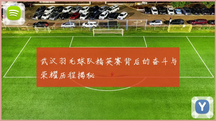 武汉羽毛球队精英赛背后的奋斗与荣耀历程揭秘