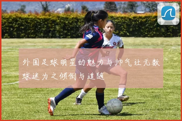 外国足球明星的魅力与帅气让无数球迷为之倾倒与追随