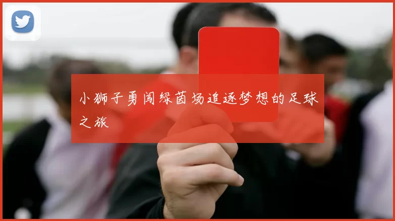 小狮子勇闯绿茵场追逐梦想的足球之旅