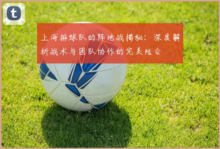 上海排球队的阵地战揭秘：深度解析战术与团队协作的完美结合