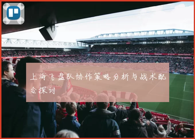 上海飞盘队协作策略分析与战术配合探讨