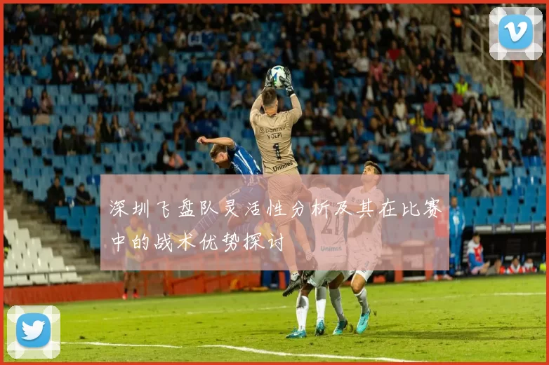 深圳飞盘队灵活性分析及其在比赛中的战术优势探讨